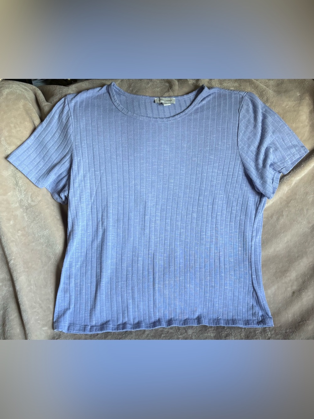 Vintage America Periwinkle Ribbed Women’s Crewneck Tee 2XL